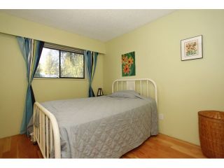 Photo 13: 925 MAYWOOD AV in Port Coquitlam: Lincoln Park PQ House for sale : MLS®# V1036749