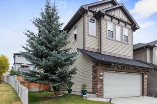 Photo 3: 259 Kincora Glen Mews NW in Calgary: Kincora Detached for sale : MLS®# A1024765