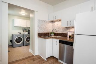 Photo 12: 48 Knappen Avenue in Winnipeg: Wolseley Residential for sale (5B)  : MLS®# 202117353