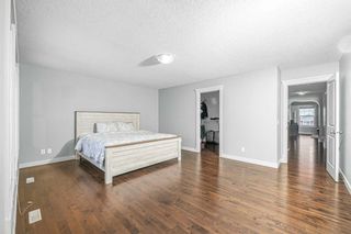 Photo 24: 381 Evanspark Circle NW in Calgary: Evanston Detached for sale : MLS®# A2129803
