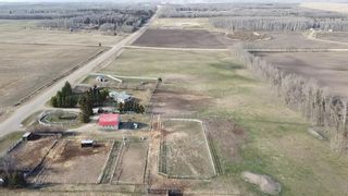 Photo 11: 423069 Rge Rd 10: Rural Ponoka County Detached for sale : MLS®# A2047453