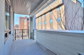 Photo 29: 205 120 18 Avenue SW in Calgary: Mission Apartment for sale : MLS®# A2022816