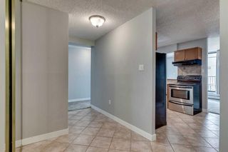 Photo 3: 5D 133 25 Avenue SW in Calgary: Mission Apartment for sale : MLS®# A2068257