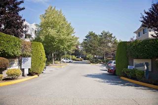 Photo 14: 309 7840 MOFFATT Road in Richmond: Brighouse South Condo for sale in "THE MELROSE" : MLS®# R2302814