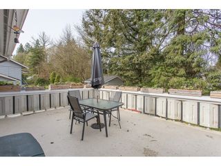 Photo 40: 12387 MOODY Street in Maple Ridge: West Central House for sale : MLS®# R2258400