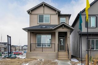 Photo 1: 8 Cornerbrook Avenue NE in Calgary: Cornerstone Detached for sale : MLS®# A1240909