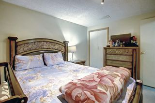 Photo 28: 136 Rundlecairn Rise NE in Calgary: Rundle Detached for sale : MLS®# A2008668