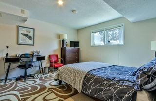 Photo 23: 158 Coyote Way: Canmore Detached for sale : MLS®# C4294362