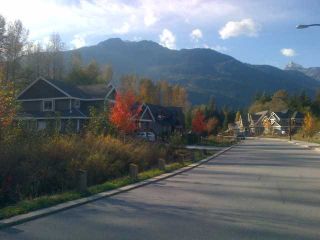 Photo 3: 41421 DRYDEN Road in Squamish: Brackendale Land for sale in "BRACKEN ARMS" : MLS®# V921580