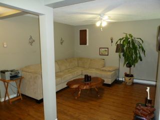Photo 20: 206 Davis Crescent in Springfield: Home for sale : MLS®# F1222227