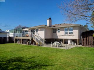 Photo 25: 3489 Henderson Rd in VICTORIA: OB Henderson House for sale (Oak Bay)  : MLS®# 805345