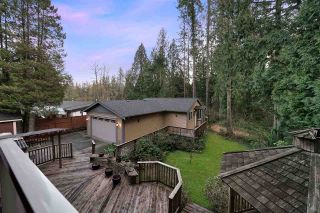 Photo 19: 23376 DOGWOOD Avenue in Maple Ridge: East Central House for sale : MLS®# R2443613