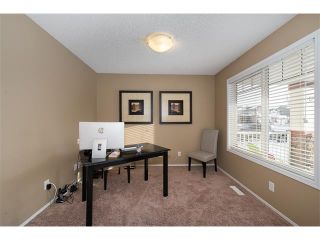 Photo 13: 289 West Lakeview Drive: Chestermere House for sale : MLS®# C4092730