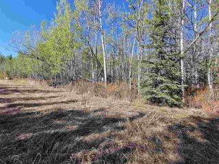 Photo 3: 12925 CHERRY Road: Charlie Lake Land for sale in "CHARLIE LAKE" (Fort St. John (Zone 60))  : MLS®# R2519694