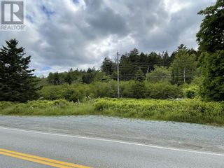 Photo 6: Lot Highway 331|PID#60723301/60611274 in Lahave: Vacant Land for sale : MLS®# 202400059
