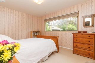 Photo 15: 1291 Persimmon Pl in VICTORIA: SE Maplewood House for sale (Saanich East)  : MLS®# 812177