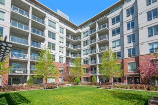 Photo 28: 709 46 9 Street NE in Calgary: Bridgeland/Riverside Apartment for sale : MLS®# A2127824