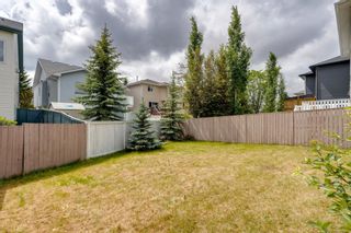 Photo 46: 131 Citadel Crest Green NW in Calgary: Citadel Detached for sale : MLS®# A1124177