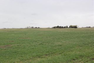 Photo 6: On Highway 567 in Rural Rocky View County: Rural Rocky View MD Land for sale : MLS®# C4233359