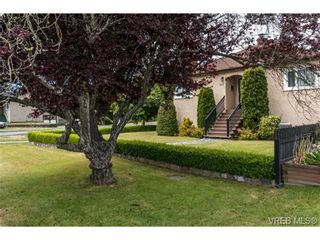 Photo 15: 3102 Earl Grey St in VICTORIA: SW Gorge House for sale (Saanich West)  : MLS®# 735746