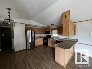 Photo 9: 50111 RANGE ROAD 180: Rural Beaver County Manufactured Home for sale : MLS®# E4300377