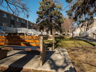 Photo 19: 610 230 Greenway Crescent West in Winnipeg: Crestview Condominium for sale (5H)  : MLS®# 202225979