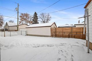 Photo 16: 1001 Boyd Avenue in Winnipeg: Shaughnessy Heights Residential for sale (4B)  : MLS®# 202227098