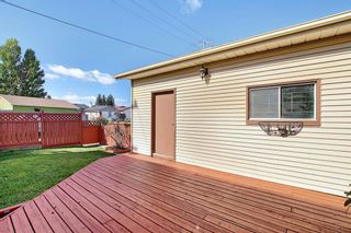 Photo 41: 19 TEMPLEBY Road NE in Calgary: Temple Detached for sale : MLS®# A1027919