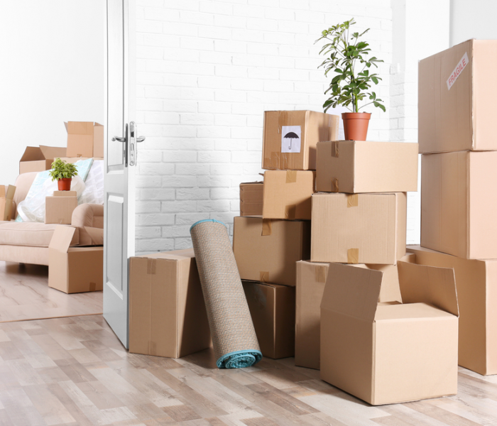 When Is the Right Time to Move?