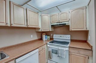Photo 13: 419 333 Garry Crescent NE in Calgary: Greenview Apartment for sale : MLS®# A2070794