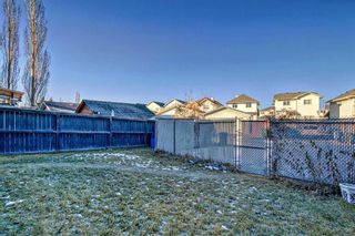 Photo 26:  in Calgary: Country Hills Detached for sale : MLS®# A2099819