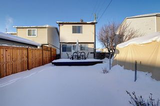 Photo 36: 148 Martinbrook Road NE in Calgary: Martindale Detached for sale : MLS®# A1069504