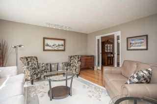 Photo 5: 160 Pamely Avenue: Red Deer Detached for sale : MLS®# A1100688