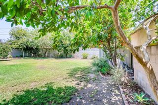 Photo 20: 5638 Lenore Ave in Arcadia: Residential for sale : MLS®# 210017271