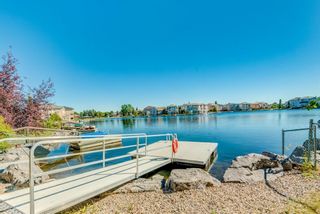 Photo 37: 240 Coral Shores Bay NE in Calgary: Coral Springs Detached for sale : MLS®# A1255470