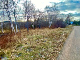Photo 2: 2-4 Pond Road in Embree: Vacant Land for sale : MLS®# 1253820