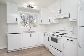 Photo 9: 30 Castleglen Road NE in Calgary: Castleridge Semi Detached (Half Duplex) for sale : MLS®# A2008737
