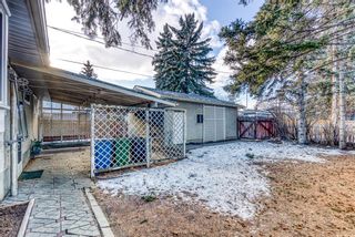 Photo 31: 345 Whitney Crescent SE in Calgary: Willow Park Detached for sale : MLS®# A1061580