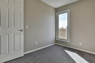 Photo 19: 47 TEMPLEGREEN Place NE in Calgary: Temple Detached for sale : MLS®# C4273952