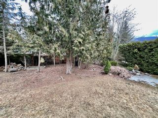 Photo 67: 1009 Shuswap Avenue, in Sicamous: House for sale : MLS®# 10271305