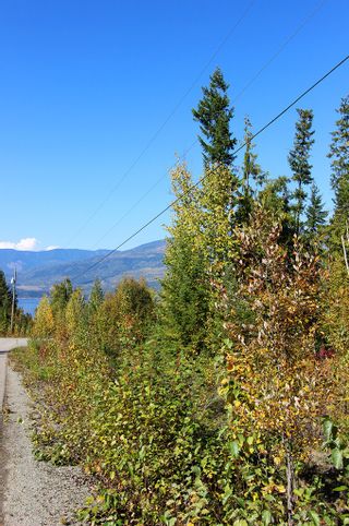 Photo 10: Lot 84 Talin Place in Eagle Bay: Land Only for sale : MLS®# 10125064