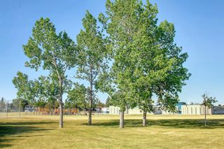 Photo 48: 99 Marwood Circle NE in Calgary: Marlborough Detached for sale : MLS®# A1252653