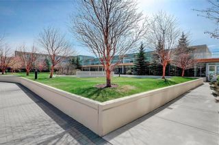 Photo 29: 2106 55 Spruce Place SW in Calgary: Spruce Cliff Apartment for sale : MLS®# A1212548