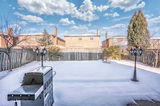 Photo 32: 242 Ridgefield Crescent in Vaughan: Maple House (2-Storey) for sale : MLS®# N5953025