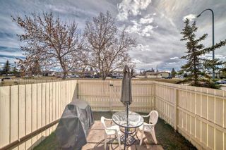 Photo 29: 67 32 WHITNEL Court NE in Calgary: Whitehorn Row/Townhouse for sale : MLS®# A2124892