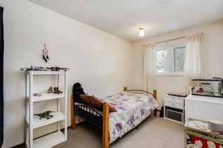 Photo 12: 42 51 BIG HILL Way SE: Airdrie Row/Townhouse for sale : MLS®# C4294757