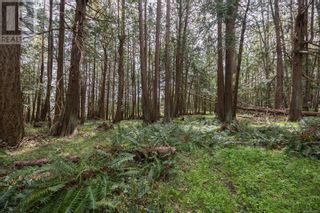 Photo 23: 0 East Rd in Denman Island: Vacant Land for sale : MLS®# 960211