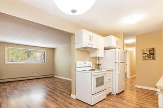 Photo 4: 102A 4714 55 Street: Red Deer Apartment for sale : MLS®# A2005229