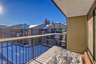 Photo 20: 4314 13045 6 Street SW in Calgary: Canyon Meadows Apartment for sale : MLS®# A2101573