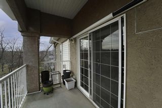 Photo 25: 403 4610 47a Avenue: Red Deer Apartment for sale : MLS®# A1174507